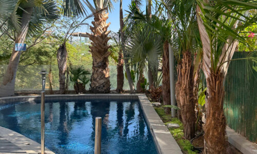 Luxury Villa in Eilat with Private Pool | Alumat Sapir